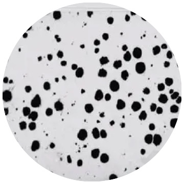 Ductile iron
